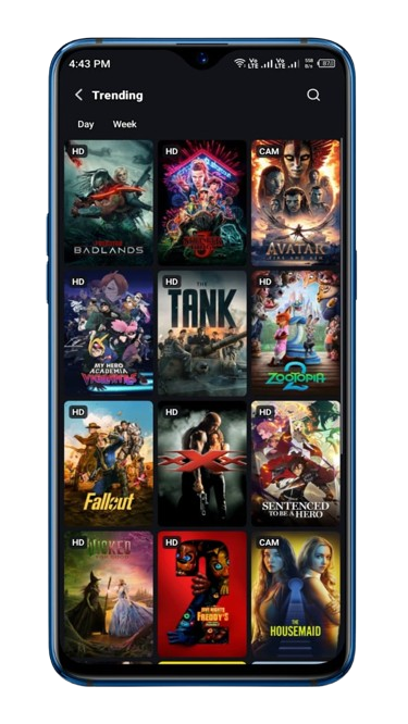 Daily Content Updates